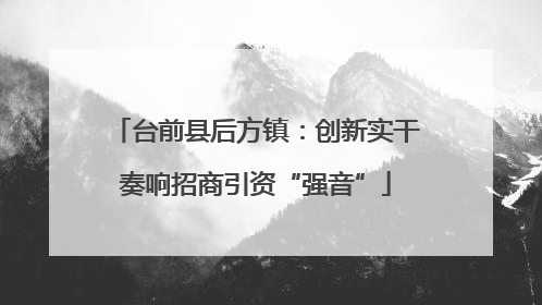 台前县后方镇：创新实干奏响招商引资“强音”