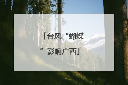 台风“蝴蝶”影响广西