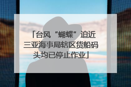台风“蝴蝶”迫近 三亚海事局辖区货船码头均已停止作业