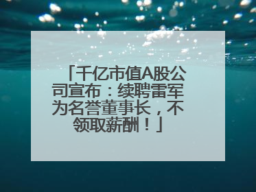 千亿市值A股公司宣布：续聘雷军为名誉董事长，不领取薪酬！