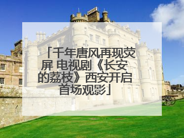 千年唐风再现荧屏 电视剧《长安的荔枝》西安开启首场观影