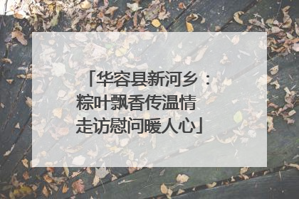 华容县新河乡：粽叶飘香传温情 走访慰问暖人心