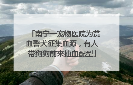 南宁一宠物医院为贫血警犬征集血源，有人带狗狗前来抽血配型