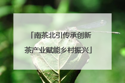 南茶北引传承创新 茶产业赋能乡村振兴
