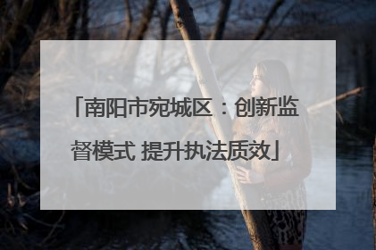 南阳市宛城区：创新监督模式 提升执法质效