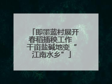 即墨蓝村展开春稻插秧工作 千亩盐碱地变“江南水乡”