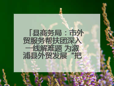 县商务局：市外贸服务帮扶团深入一线解难题 为溆浦县外贸发展“把脉问诊”