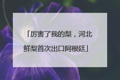 厉害了我的梨，河北鲜梨首次出口阿根廷
