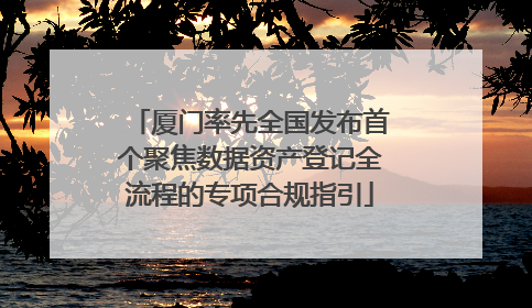 厦门率先全国发布首个聚焦数据资产登记全流程的专项合规指引
