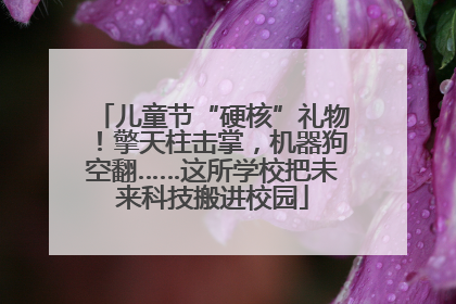 儿童节“硬核”礼物！擎天柱击掌，机器狗空翻……这所学校把未来科技搬进校园