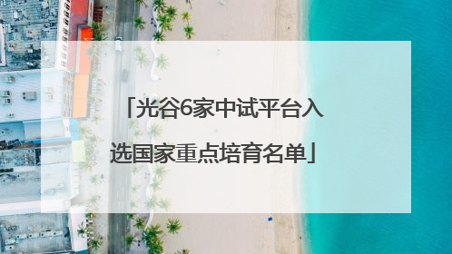 光谷6家中试平台入选国家重点培育名单