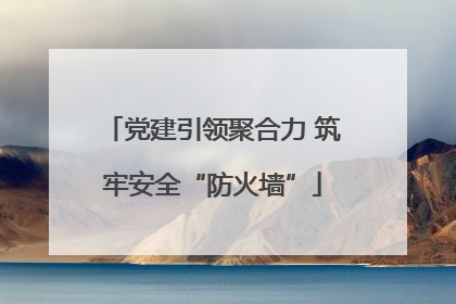 党建引领聚合力 筑牢安全“防火墙”