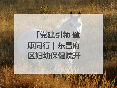党建引领 健康同行｜东昌府区妇幼保健院开启共建新篇章