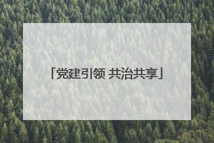 党建引领 共治共享