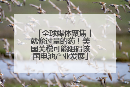 全球媒体聚焦丨就像过量的药！美国关税可能阻碍该国电池产业发展