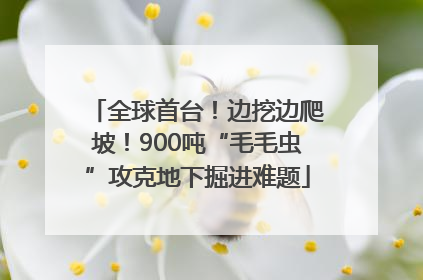 全球首台！边挖边爬坡！900吨“毛毛虫”攻克地下掘进难题