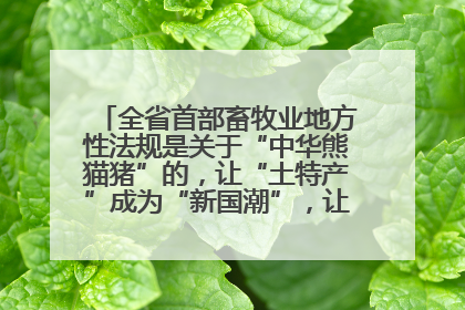 全省首部畜牧业地方性法规是关于“中华熊猫猪”的，让“土特产”成为“新国潮”，让“农产品”升格为“城市IP”
