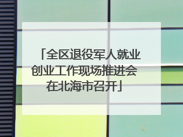 全区退役军人就业创业工作现场推进会在北海市召开