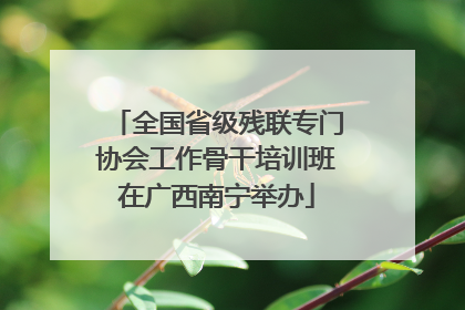 全国省级残联专门协会工作骨干培训班在广西南宁举办