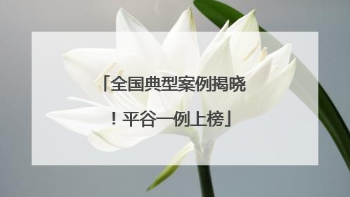 全国典型案例揭晓！平谷一例上榜