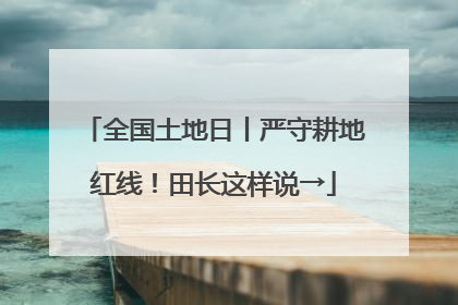 全国土地日丨严守耕地红线！田长这样说→