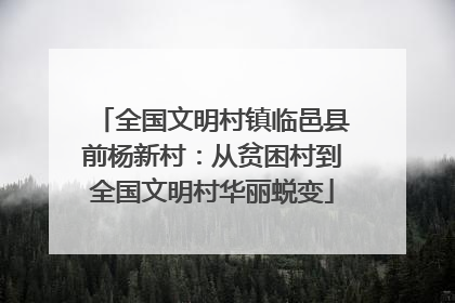 全国文明村镇临邑县前杨新村：从贫困村到全国文明村华丽蜕变