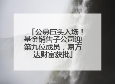 公募巨头入场！基金销售子公司迎第九位成员，易方达财富获批