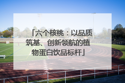 六个核桃：以品质筑基、创新领航的植物蛋白饮品标杆