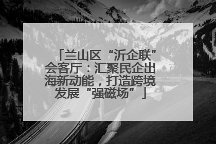 兰山区“沂企联”会客厅：汇聚民企出海新动能，打造跨境发展“强磁场”