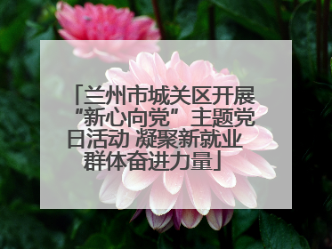 兰州市城关区开展“新心向党”主题党日活动 凝聚新就业群体奋进力量