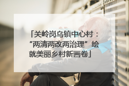 关岭岗乌镇中心村：“两清两改两治理”绘就美丽乡村新画卷