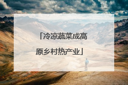 冷凉蔬菜成高原乡村热产业