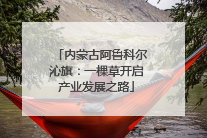 内蒙古阿鲁科尔沁旗：一棵草开启产业发展之路