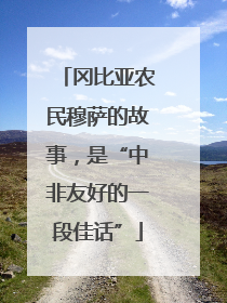 冈比亚农民穆萨的故事，是“中非友好的一段佳话”