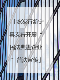农发行新宁县支行开展“民法典进企业”普法宣传
