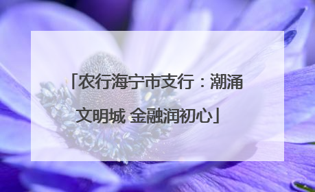 农行海宁市支行：潮涌文明城 金融润初心