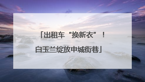 出租车“换新衣”！白玉兰绽放申城街巷