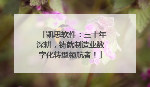 凯思软件：三十年深耕，铸就制造业数字化转型领航者！
