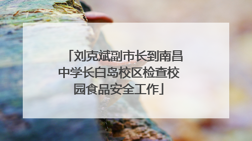 刘克斌副市长到南昌中学长白岛校区检查校园食品安全工作