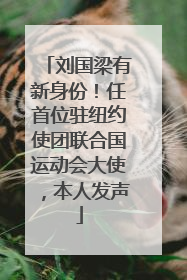 刘国梁有新身份！任首位驻纽约使团联合国运动会大使，本人发声
