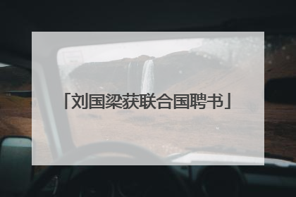 刘国梁获联合国聘书