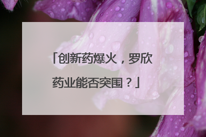 创新药爆火，罗欣药业能否突围？