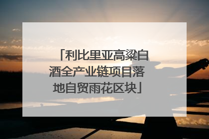 利比里亚高粱白酒全产业链项目落地自贸雨花区块