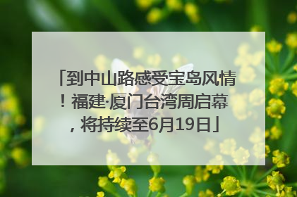 到中山路感受宝岛风情！福建·厦门台湾周启幕，将持续至6月19日