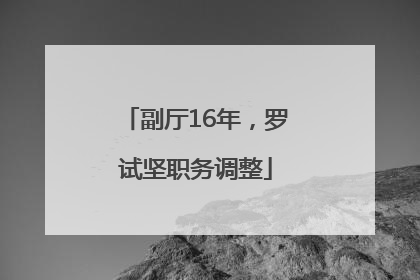 副厅16年，罗试坚职务调整