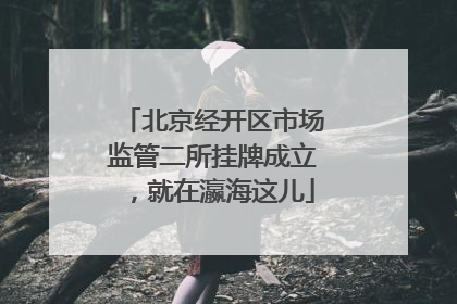 北京经开区市场监管二所挂牌成立，就在瀛海这儿