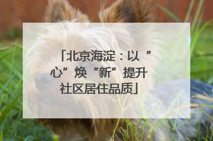 北京海淀：以“心”焕“新”提升社区居住品质