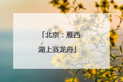 北京：雁西湖上赛龙舟
