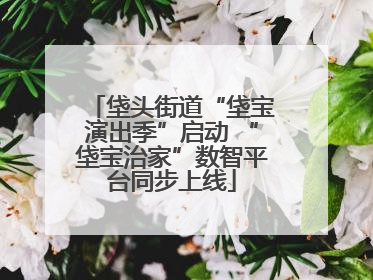 垡头街道“垡宝演出季”启动 “垡宝治家”数智平台同步上线