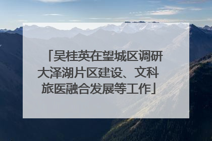 吴桂英在望城区调研大泽湖片区建设、文科旅医融合发展等工作